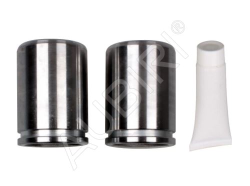 Brake caliper repair kit Iveco Daily 2000-2006 65C rear 2pcs, 46mm